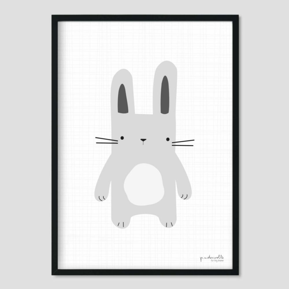 Poster Hase